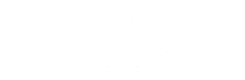 Logo Footer WellnessParadies am Silbersee GmbH